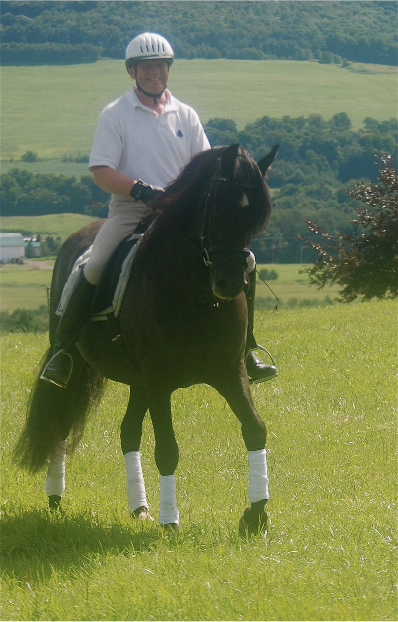 Keep Your Horse Health with Quality Hay