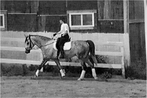 Nikki Training Rativ